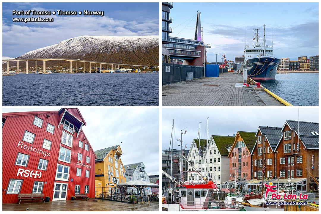 Top 3 Must-Visit Cities from Oslo to Lofoten